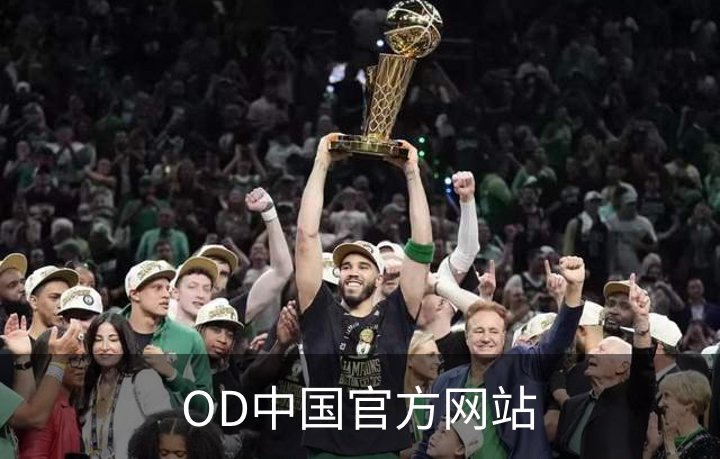 关于OD中国官方网站